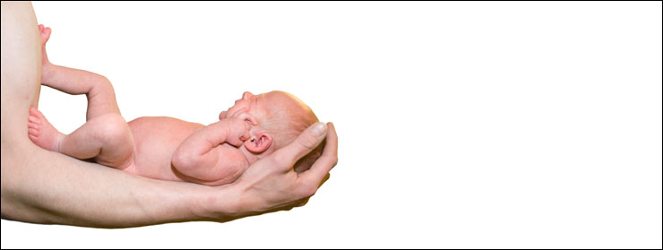 baby portrait