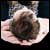 Newborn